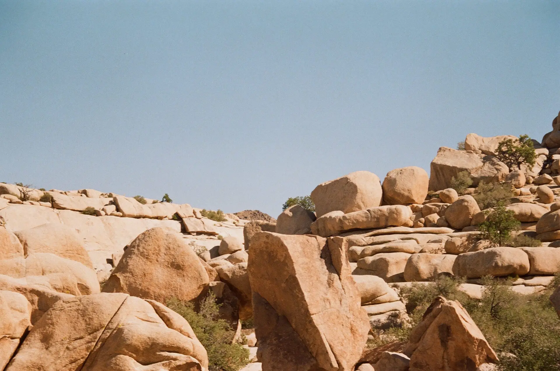 Joshua Tree National Park, 2024