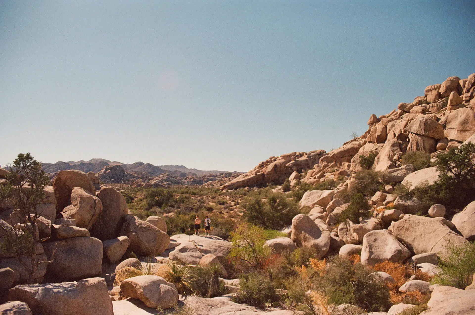 Joshua Tree National Park, 2024
