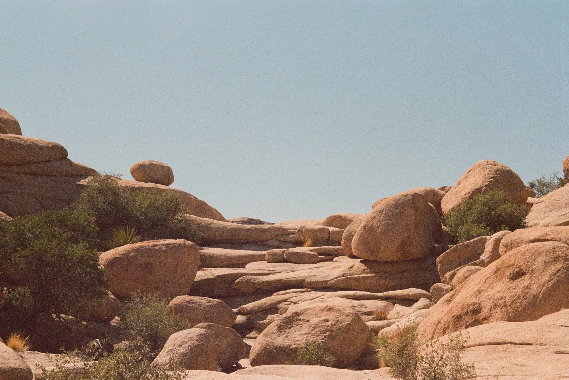 Joshua Tree National Park, 2024
