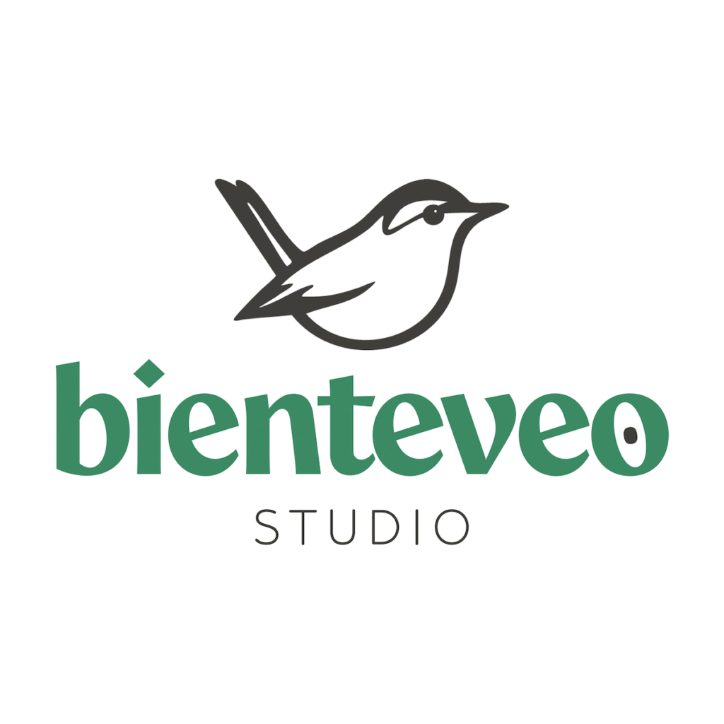 Business Strategy & Brand identity for bienteveo studio™​